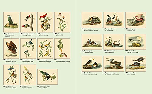 The Audubon Birds Coloring Book Arcturus