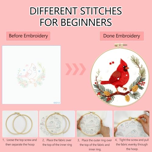 Zhenqing Red Bird in Winter Embroidery Kit for Beginners, Pre-Printed 29x29cm Cotton Fabric with 20cm Hoop, Featuring Pine Cones, Berries and Snow Design (C0213)