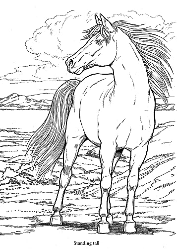 Wonderful World of Horses Coloring Book (Dover Animal Coloring Books) Dover Publications