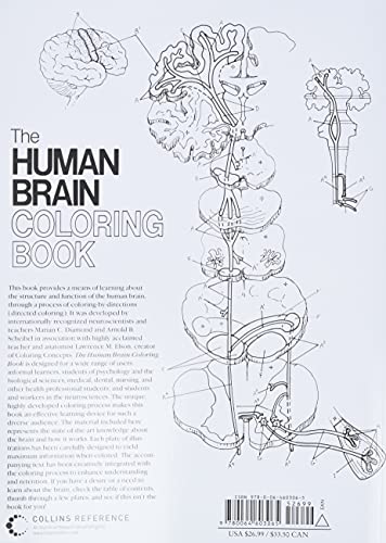 The Human Brain Coloring Book: A Coloring Book (Coloring Concepts) Collins Reference