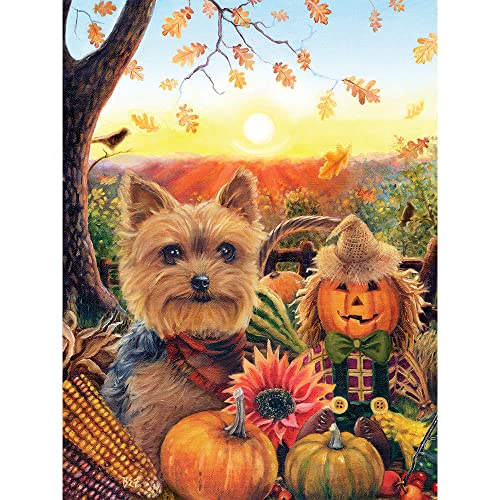 Bits and Pieces – 500 Piece Jigsaw Puzzle for Adults – Pumpkin Sunrise Yorkie - Puppy Dog Fall Autumn Corn Scarecrow Jigsaw Puzzle by Artist Brooke Faulder, Completed Puzzle Size: 18" x 24"