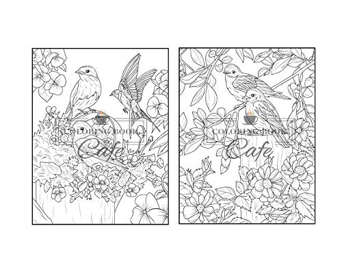 Songbirds Coloring Book: An Adult Coloring Book Featuring Beautiful Songbirds, Exquisite Flowers and Relaxing Nature Scenes Majosta
