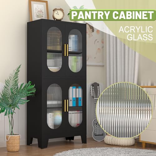 Winiowa 61" Black Metal Pantry Cabinet with Adjustable Shelves and Acrylic Glass Doors winiowa