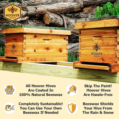 Hoover Hives: The Original Beeswax Coated Beehive Kit. Includes 2 Deep & 1 Medium Boxes with Wooden Frames & Heavy Wax Coated Foundations. Easy Assembly with Predrilled Holes & Screws (Unassembled) Hoover Hives