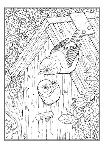 Creative Haven Glorious Songbirds Coloring Book (Adult Coloring Books: Animals) WoodArtSupply