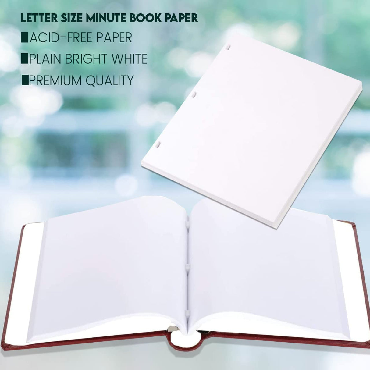 Performore 11 X 8.5 Inch Letter Size Minute Book Paper, 3 Hole Punched White Loose Leaf Minute Book Ledger Sheets, 200 Ledger Sheets for Record Keeping Performore