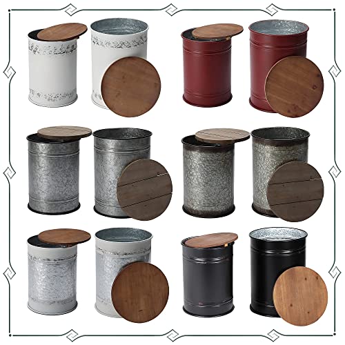 Rustic Storage Ottoman Seat Stool, Farmhouse Accent Side Table, Antique Galvanized Metal End Table Box Bin with Round Wooden Lid Set of 2 (Galvanized) Rustee