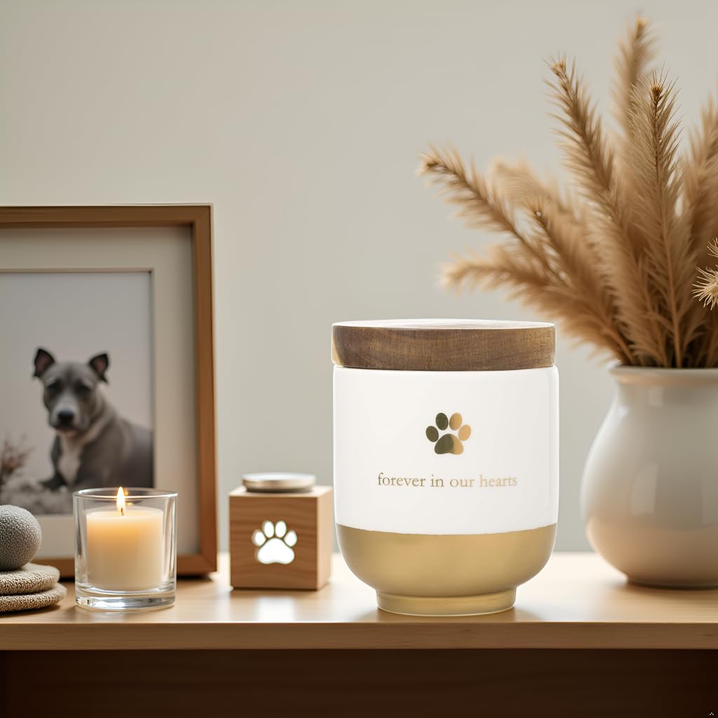 Pearhead Pet Ceramic Forever in Our Hearts Urn, Pet Memorial, Dog Or Cat Keepsake Urn, Rainbow Bridge, Gold Pearhead