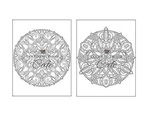 125 Mandalas: An Adult Coloring Book Featuring 125 of the World’s Most Beautiful Mandalas for Stress Relief and Relaxation Independently Published Iaerlllt