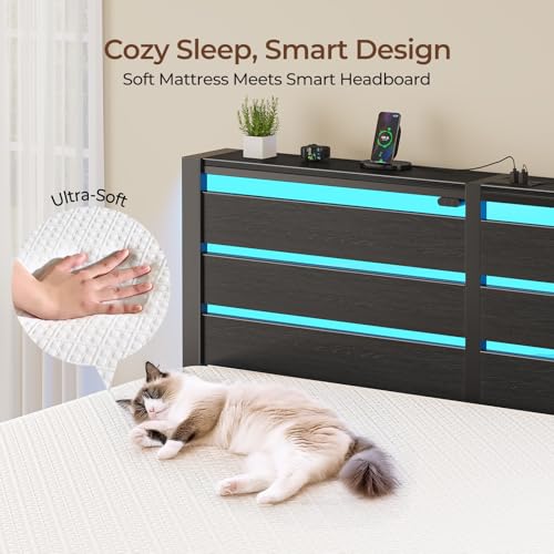 Rolanstar Twin Bed Frame with 6 Inch Gel Memory Foam Mattress, LED Metal Platform Bed with USB Charging & Storage Headboard, Black, CertiPUR-US Certified Mattress Rolanstar