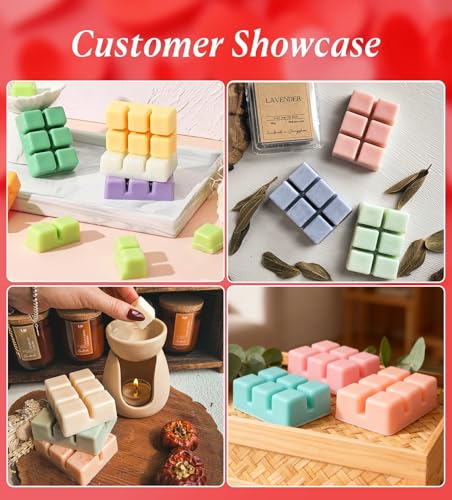 PCREGPAE Thickened Wax Melt Molds Containers Clamshells Packaging for Wax Melts,Wax Tart Packaging for Enterprises or Households,Wax Seal Mold,Scentsy Wax Melts,Soy Wax,Wax Melt Warmer (30pcs)