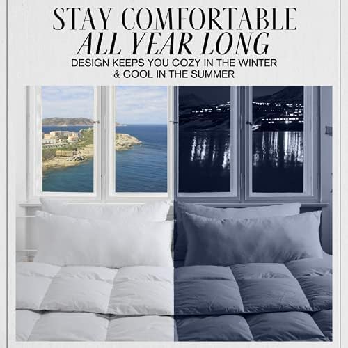 Twin/Queen/King Down Alternative Comforter, 2100 Series All-Season Duvet Insert with Corner Tabs, Box-Stitch, Soft Microfiber, Machine Washable (White, King) Pantrypoet