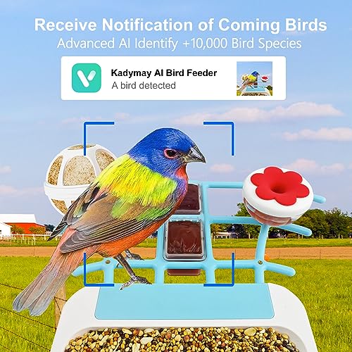 Kadymay Smart Bird Feeder with Camera Solar Powered, 1080P HD Live Video &Playback on Phone, AI Identify +10,000 Bird Species, 2.4G WiFi Bird Feeder Kadymay