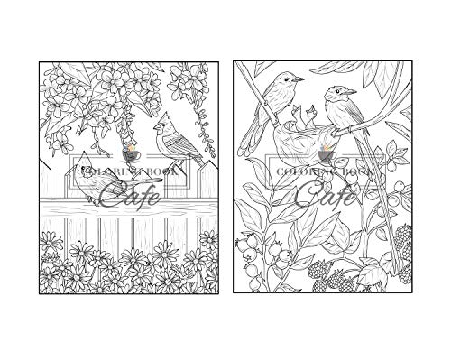 Songbirds Coloring Book: An Adult Coloring Book Featuring Beautiful Songbirds, Exquisite Flowers and Relaxing Nature Scenes Majosta