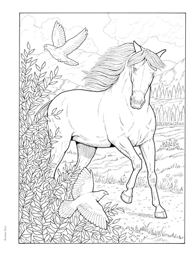 Adult Coloring Great Horses Coloring Book (Adult Coloring Books: Animals) Dover Publications