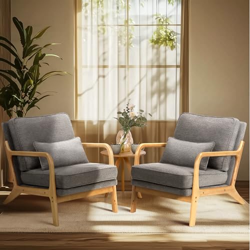 COLAMY Mid Century Modern Accent Chair Set of 2 with Lumbar Pillow, Relaxing Armchair with Solid Wood Frame & Soft Cushion, Reading Leisure Chair for Living Room,(Grey) COLAMY