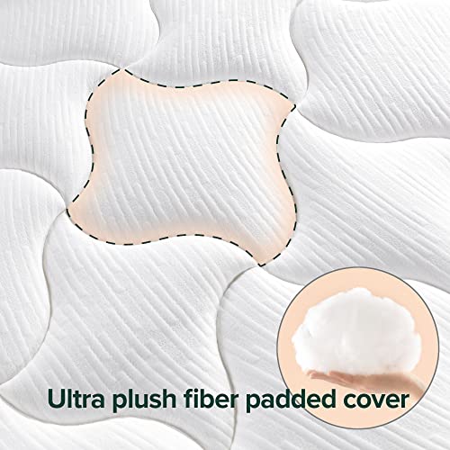 Zinus – Cloud Memory Foam 12 Inch Mattress / Pressure Relieving Design / Mattress-in-a-Box / OEKO-TEX and CertiPUR-US Certified, Off White, King Zinus