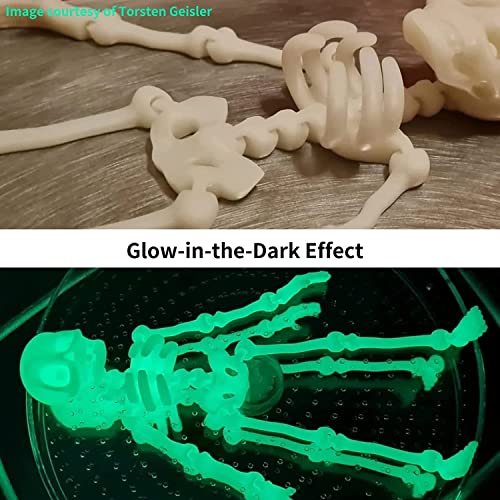 Siraya Tech Craft Glow-in-The-Dark 3D Printer Resin - Rapid Curing, High Resolution 405nm UV Resin for LCD/DLP/8K 3D Printers - Ideal for Outdoor, Decorative & Safety Applications (1kg, Green) Siraya Tech