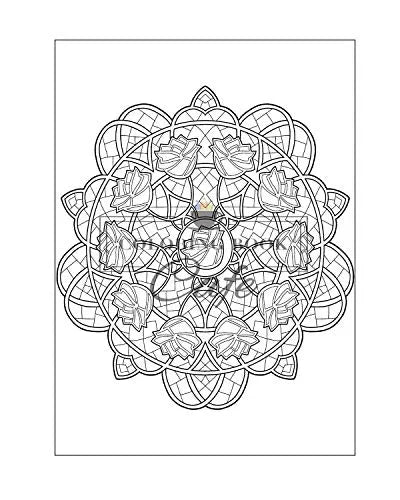125 Mandalas: An Adult Coloring Book Featuring 125 of the World’s Most Beautiful Mandalas for Stress Relief and Relaxation Independently Published Iaerlllt