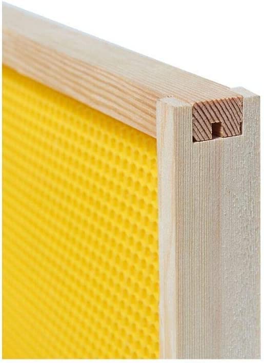 BeeCastle 40-Pack Beehive Bee Frames Waxed Foundation with Complete Unassembled Commercial Frames, 6-1/4-Inch (Yellow) BeeCastle