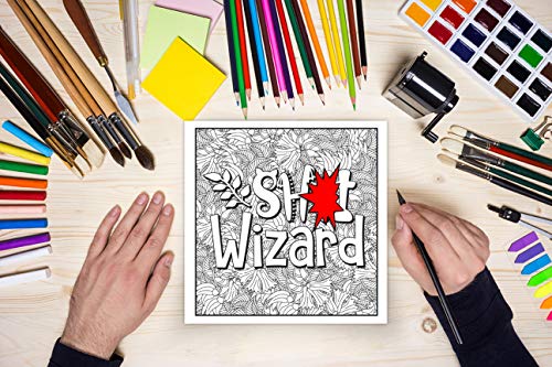 A Swear Word Coloring Book for Adults WoodArtSupply