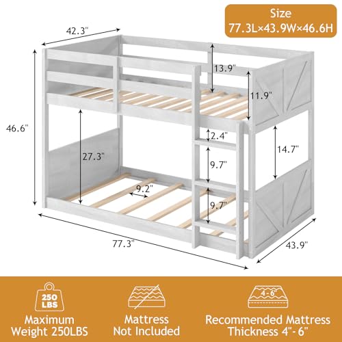 Zevemomo Wooden Bunk Bed Twin Over Twin, Low Bunk Bed, Solid Rubberwood Bed Frame with Built-in Ladder, Floor Bunk Bed for Bedroom, Space Saving, No Box Spring Needed, Antique White Zevemomo