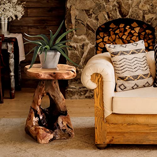 Warmaxx Natural Irregular Shape Tree Stump End Table Plant Stand 14"x13"x18"H Solid Cedar Wood Outdoor Rustic Sit Foot Stools Live Edge Coffee Side Table Living Room Bedroom Outdoor Garden Warmaxx