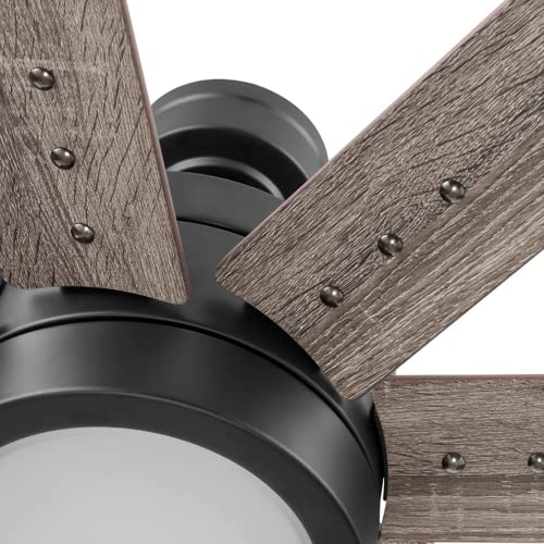 Honeywell Ceiling Fans Xerxes Modern 62 Inch Ceiling Fan with Light, LED Fan with Remote Control, Indoor Fan, 8 Contemporary Blades with Dark Wood and Pine Finish Options, Bronze (51926-01) Honeywell