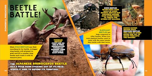 The Fascinating Bug Book for Kids: 500 Startling Facts! (Fascinating Facts) Callisto Kids