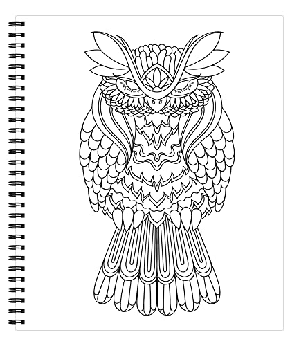 Large Print Easy Color & Frame - Birds (Stress Free Coloring Book) WoodArtSupply