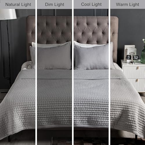 Twin Quilt Set – 68"x86" Soft Washed 3-Layer Lightweight Bedspread with Multi-Lock Quilting, Minimalist Nordic Bedding, All-Season Quilt for Spring, Summer & Fall (1 Quilt + 2 Pillow Shams), Grey DAWNDIOR