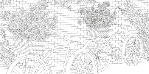 Urban Jungle Coloring Book (Calm Coloring: Natural Wonders) White Star Publishers