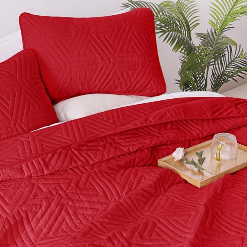 Whale Flotilla Soft Twin Size Quilt Set for All Seasons, 2-Piece Ultrasonic Geometric Quilts Bedding Set, Lightweight Reversible Bedspread, Coverlet, Bed Cover with Pillow Sham, Red Whale Flotilla