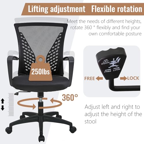 FDW Home Office Chair Mid Back PC Swivel Lumbar Support Adjustable Desk Task Computer Ergonomic Comfortable Mesh Chair with Armrest (Black) FDW