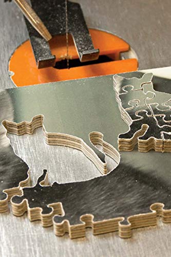 Making Wooden Jigsaw Puzzles: Creating Heirlooms from Photos & Other Favorite Images (Fox Chapel Publishing) Fox Chapel Publishing
