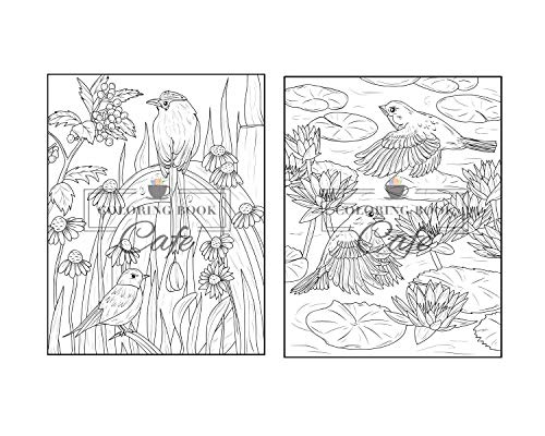 Songbirds Coloring Book: An Adult Coloring Book Featuring Beautiful Songbirds, Exquisite Flowers and Relaxing Nature Scenes Majosta