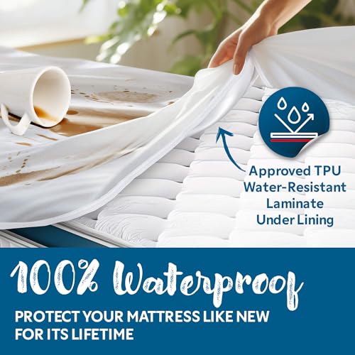 Guardmax Jersey Knitted Queen Zippered Mattress Encasement - Waterproof & Bed Bug Proof Mattress Protector - Comfortable, Soft, and Noiseless Zippered Bedding - Dust Mite Proof (60 x 80 x 12) Guardmax