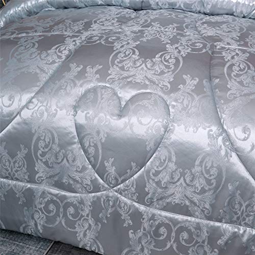Raytrue-X Twin Comforter, Silver Silk Jacquard Bedding Comforter Sets, 3 Pieces Grey Lightweight Quilt, All Season Comforter for Twin Bed, Ultra Soft Microfiber, Matching 2 Pillow Shams, Twin/Twin XL Raytrue-X