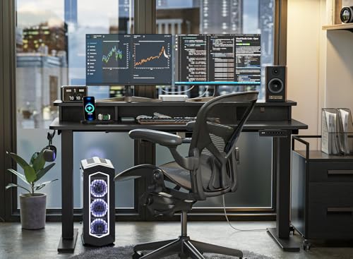 FEZIBO 40 x 24 Inch Height Adjustable Electric Standing Desk with Double Drawer, Computer Desk, Home Office Stand Up Table with 4 Height-Adjustable Feets & 2 Hooks, Black FEZIBO