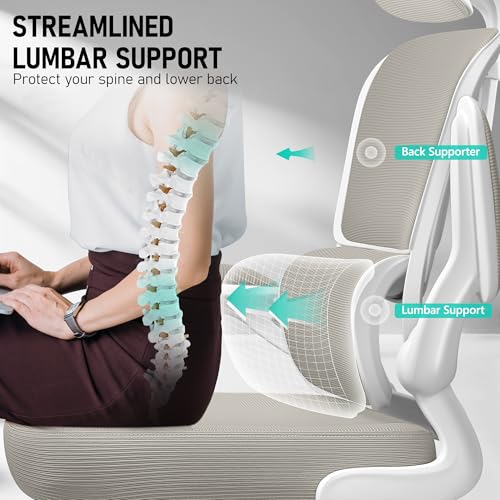 BESTFAIR High Back Ergonomic Office Chair, Breathable Mesh Desk Chair with Lumbar Support, Adjustable Headrest, Flip-up Armrests, Computer Gaming Chair, (LightGray, 1Pack) BESTFAIR