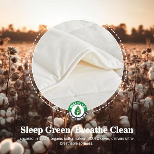 KUSNUG Climaloft Hybrid Wool Comforter Queen Size with 100% Organic Cotton, Hypoallergenic Down Alternative Luxury Duvet Insert with Tabs, Temperature Regulating All-Season Bedding, White KUSNUG