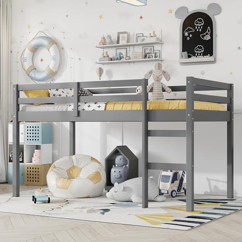 Mirightone Low Loft Bed Twin Size, Wood Junior Loft Bed Frame with Ladder for Kids Girls Boys Teens, Solid Rubberwood, Gray Mirightone