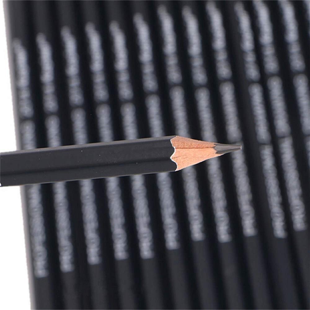 Heshengping Drawing Sketch Pencil Set 14pcs Sketching Pencils 12B 10B 8B 7B 6B 5B 4B 3B 2B B HB 2H 4H 6H Graphite Pencils for Kid Adults Artists Student Beginners Professional Heshengping