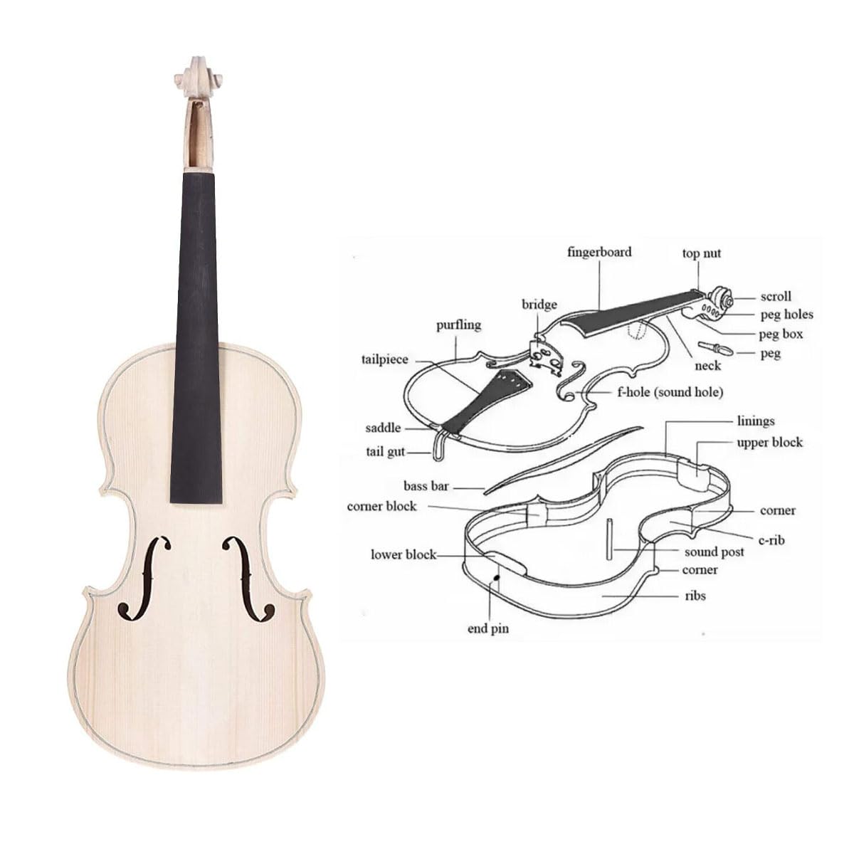 TUOREN 4/4 Violin DIY Kit Build Your Own Violin Fiddle Kit Full Size Violin Basswood with Complete Parts & Accessories Gift for Kids Students Beginners TUOREN