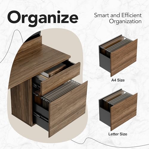 HUANUO Standing Desk with Drawers and File Cabinet, 47 Inch Electric Height Adjustable Desk with Storage, Ergonomic Stand Up Table with Monitor Stand, Black Walnut HUANUO