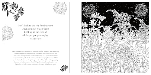 Floriographic: Midnight Garden: An Artist’s Coloring Book of Nighttime Floral Wonders