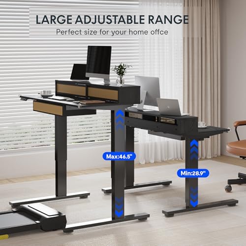 FLEXISPOT Q4 One-Piece Standing Desk with Rattan Drawers, 48 x 24 Inch Adjustable Height, Electric Stand Up Table with Monitor Shelf, Home Office Ergonomic Computer Desk with Memory Presets, Black FLEXISPOT