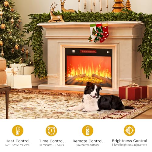 DWVO 23 Inches Electric Fireplace Insert, Recessed Fireplace Heater with Remote Control, Adjustable Temperature, 6H Timer, Adjustable Flame Brightness, 120V 1400W, Firewood DWVO