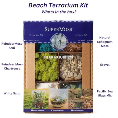 SuperMoss (90422) Beach Terrarium DIY Kit – Create Stunning Nature-Inspired Mini Gardens – Perfect for Home Decor, Office Gifts, and Plant Lovers, Appx 4 Oz SuperMoss