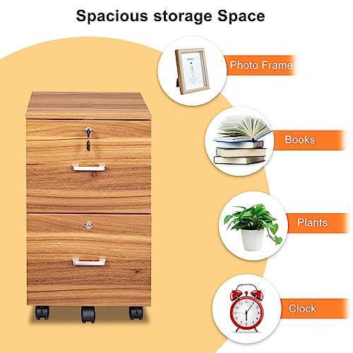 VINGLI 2 Drawer File Cabinet with Lock, Wood Grain Walnut File Cabinet for Letter Size File Folders with Tabs, Under Desk Rolling File Cabinets for Home Office, Mobile Filing Cabinet Printer Stand VINGLI